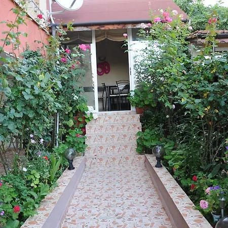 Babeva 3* 스베티 블라스