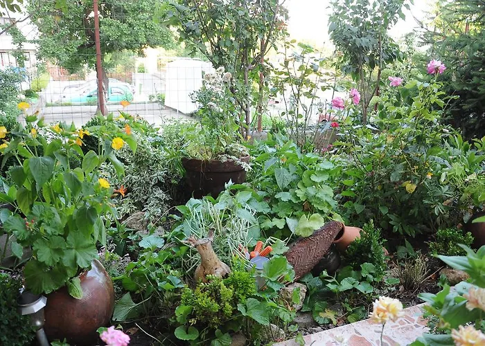 Хотел бабева Свети Влас